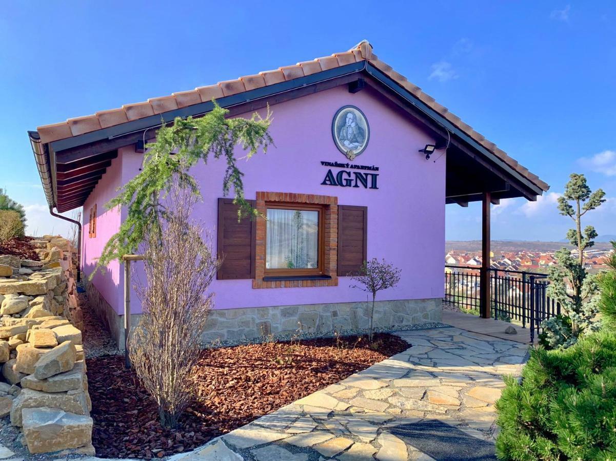 Vinarsky Penzion Andre Velké Pavlovice Exterior foto